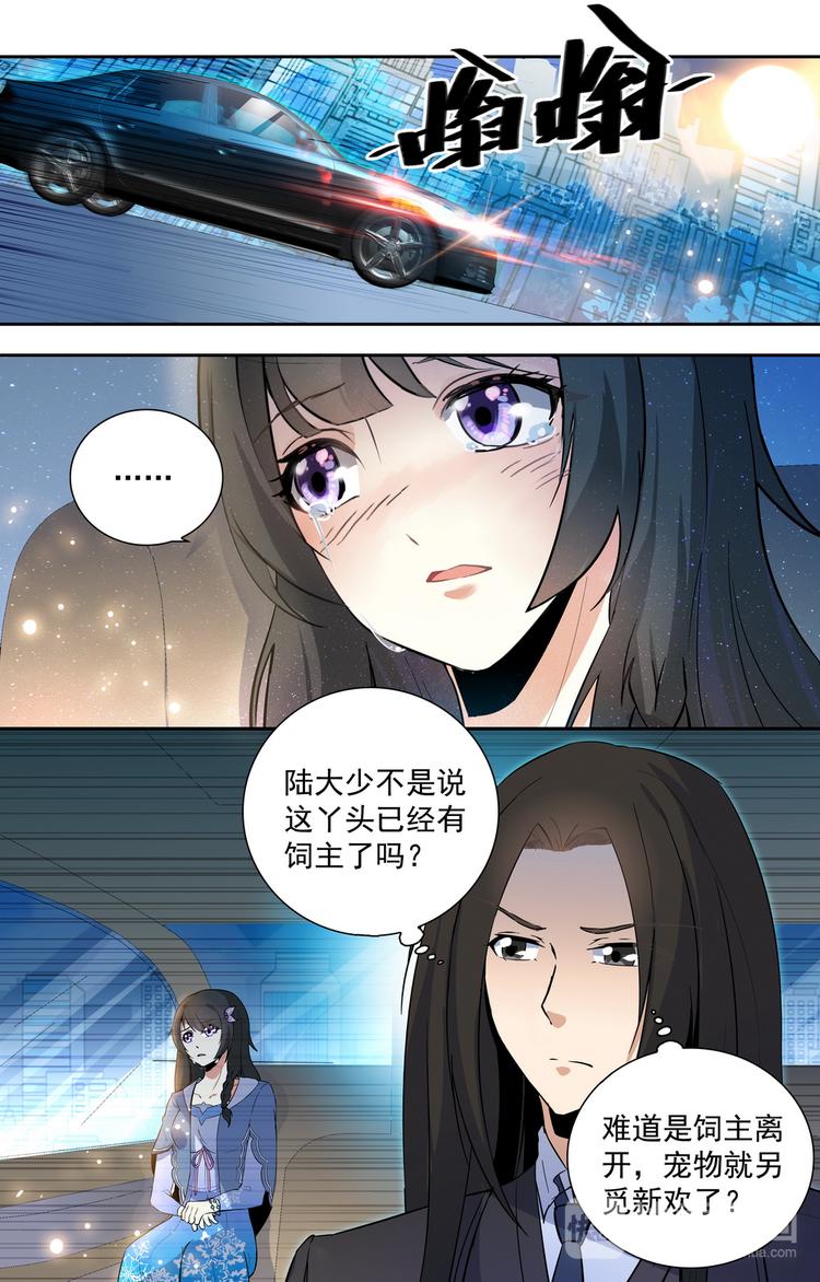 《天价婚约》第15话 离开的决心 第6页