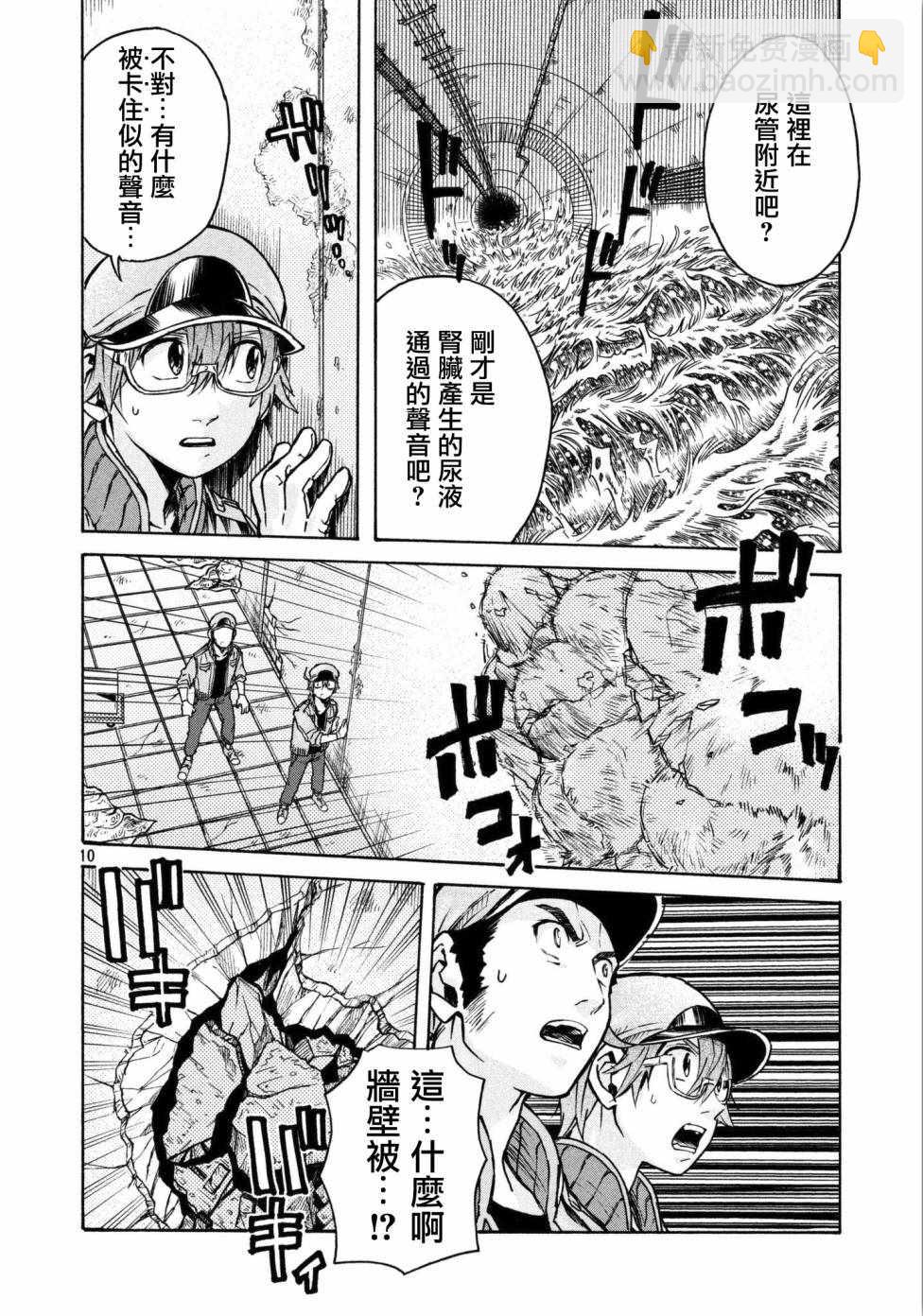 《工作细胞black》第13话 第10页
