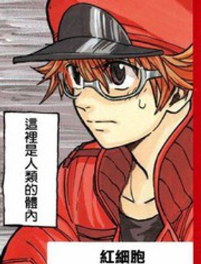 《工作细胞black》漫画封面图 - tl漫画
