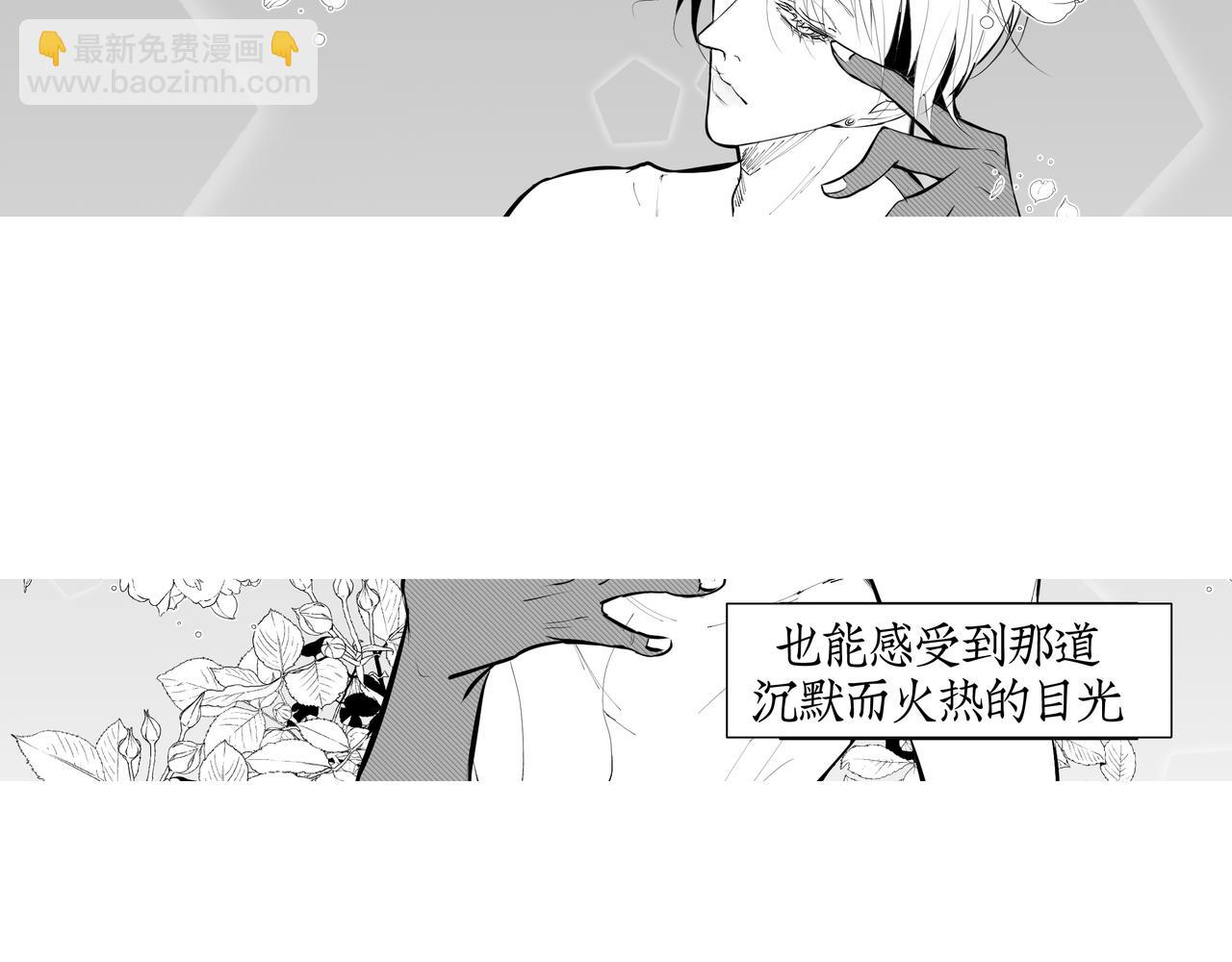 《灰色金鱼的尾骨》雏鸟的情动 第5页