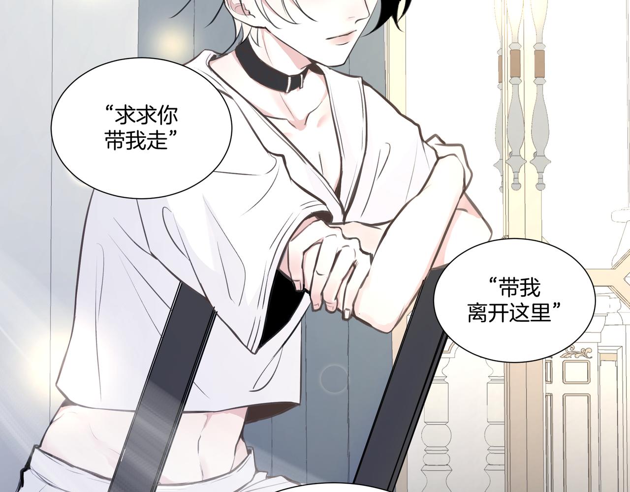 《灰色金鱼的尾骨》10.一切命中注定 第28页