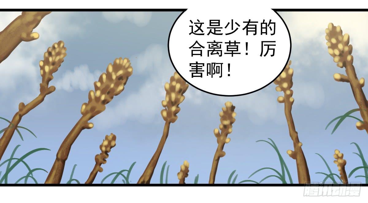 《十里常青》6-碧落险 第28页