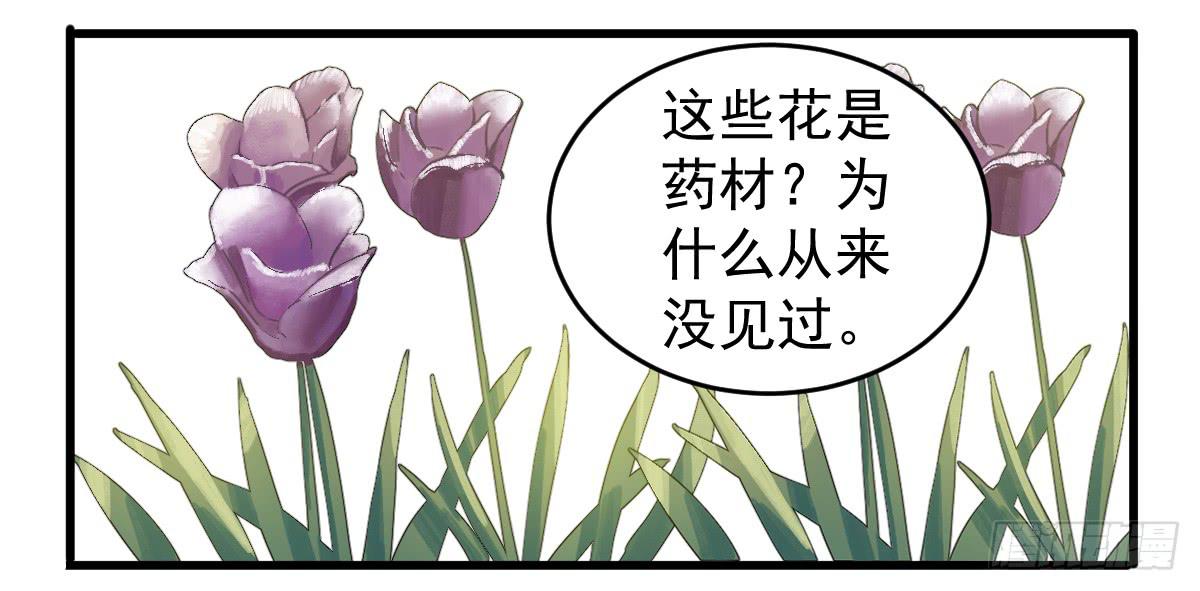 《十里常青》7-碧落险 第13页