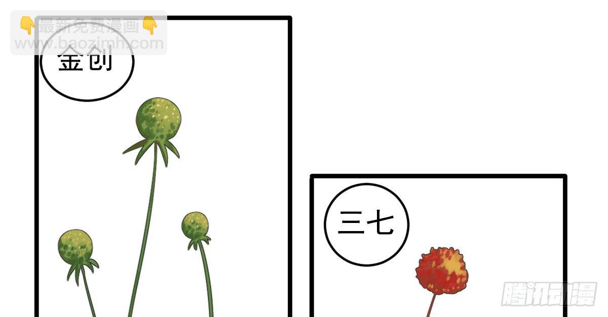 《十里常青》7-碧落险 第3页