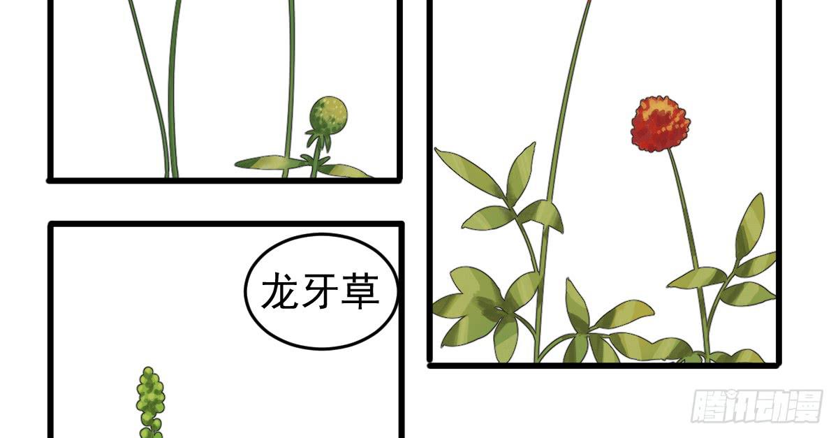 《十里常青》7-碧落险 第4页