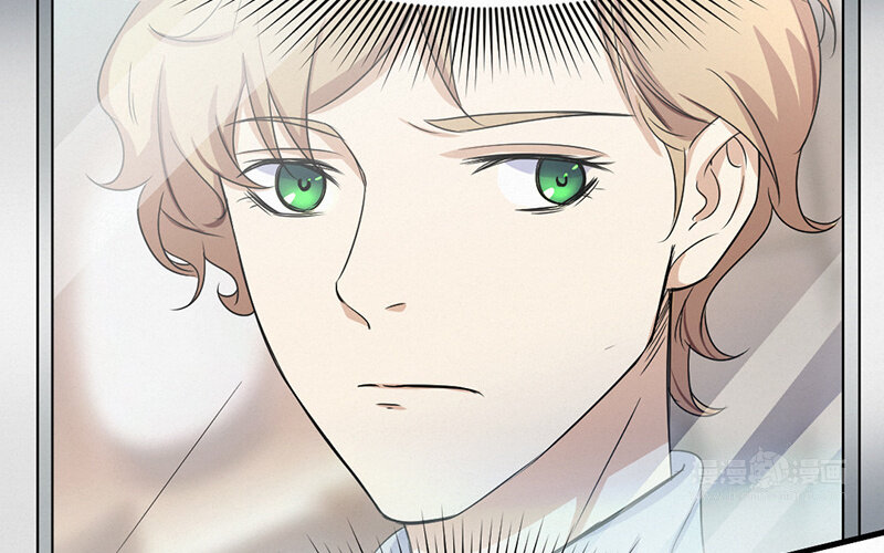 《论一个厨子的撸猫修养》1 第1话 第40页