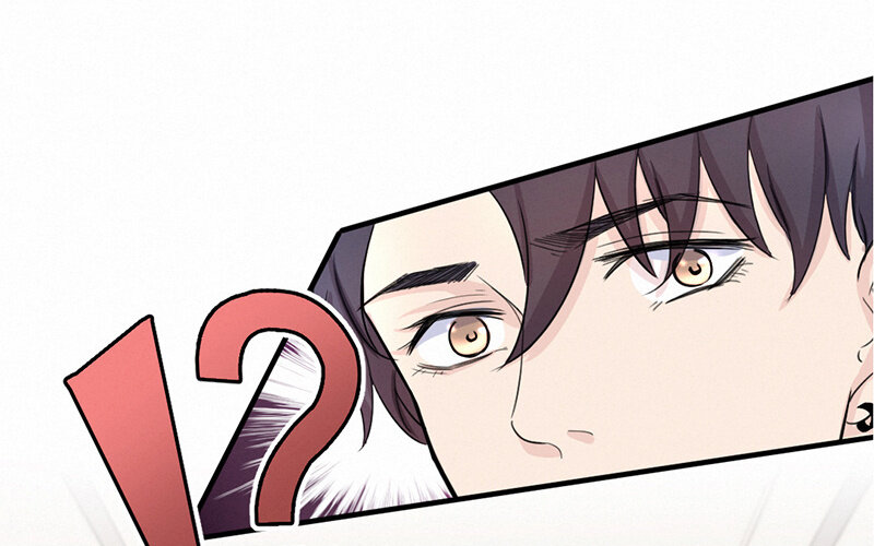 《论一个厨子的撸猫修养》8 第8话 第8页