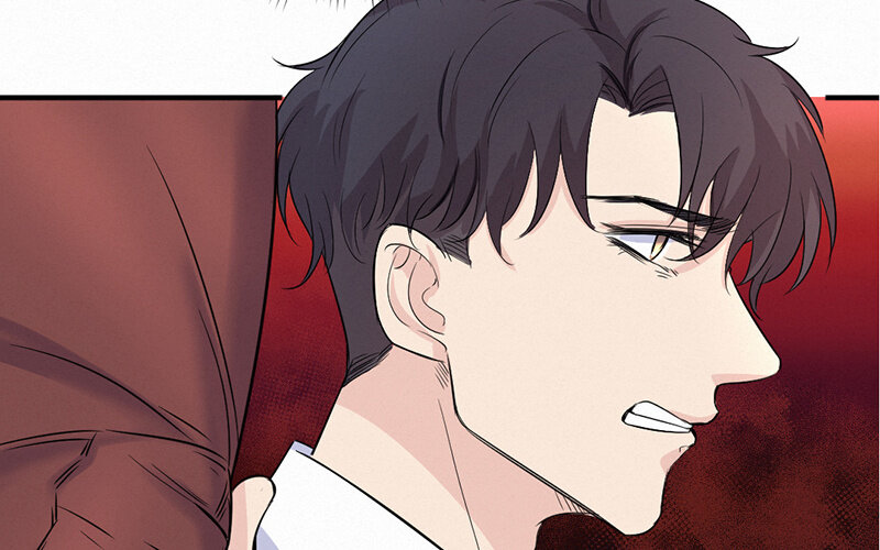 《论一个厨子的撸猫修养》13 第13话 第42页