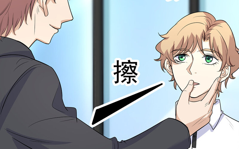 《论一个厨子的撸猫修养》17 第17话 第16页