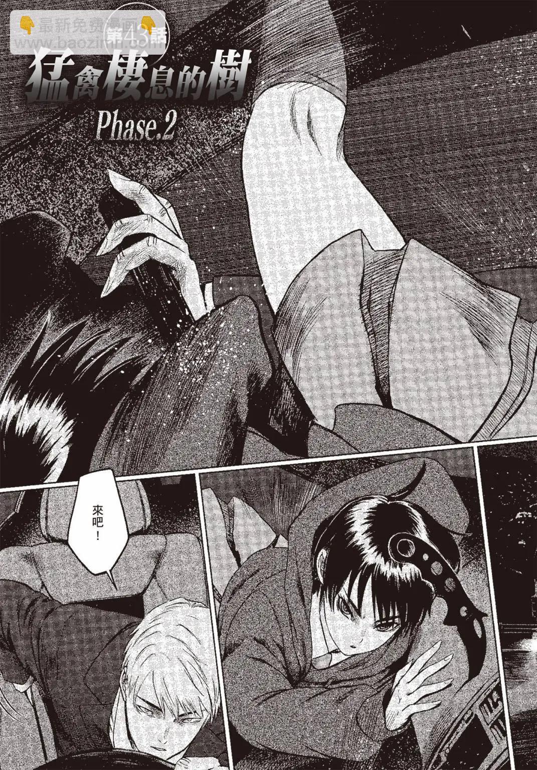 《强袭246》第07卷 第12页