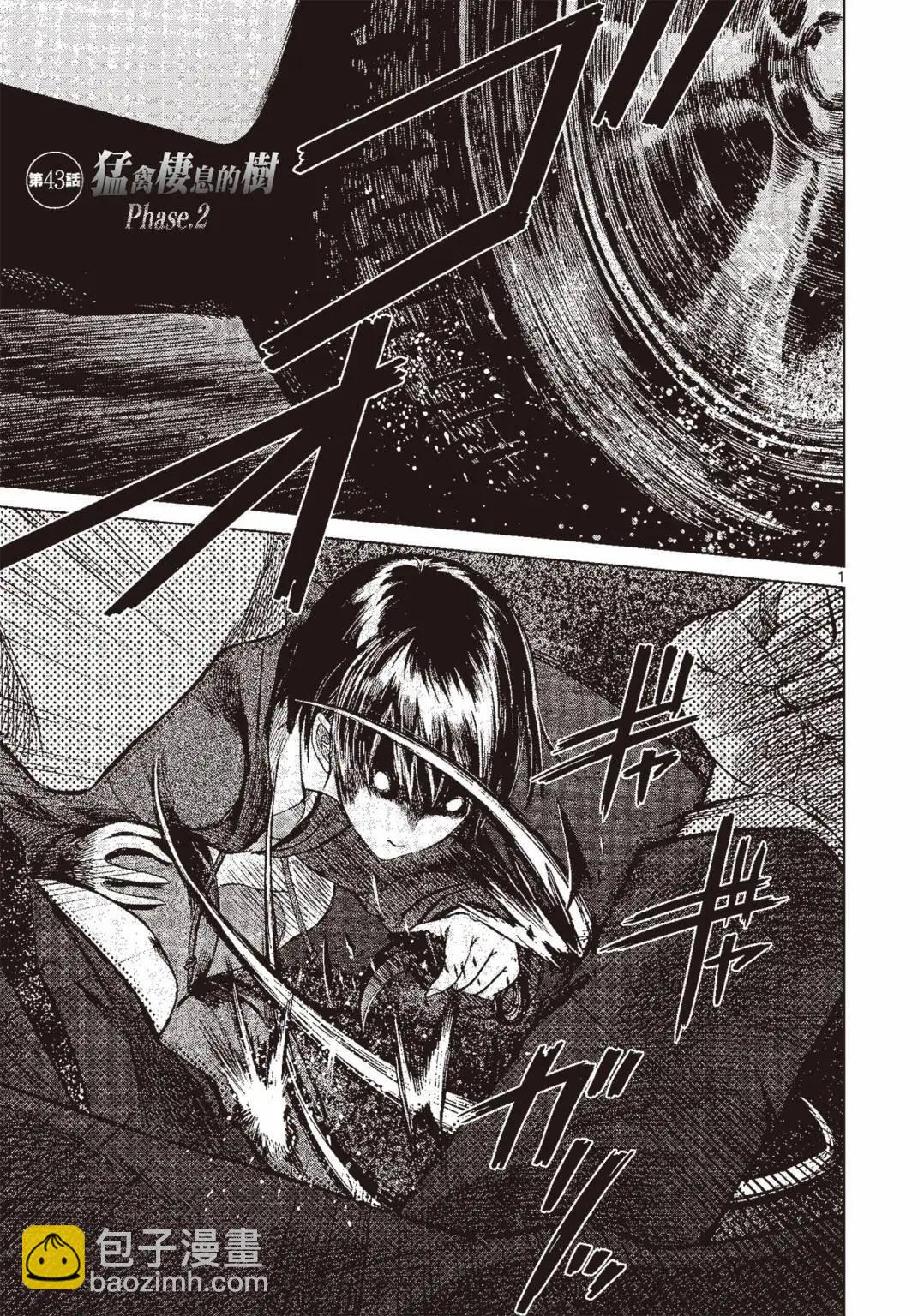 《强袭246》第07卷 第8页