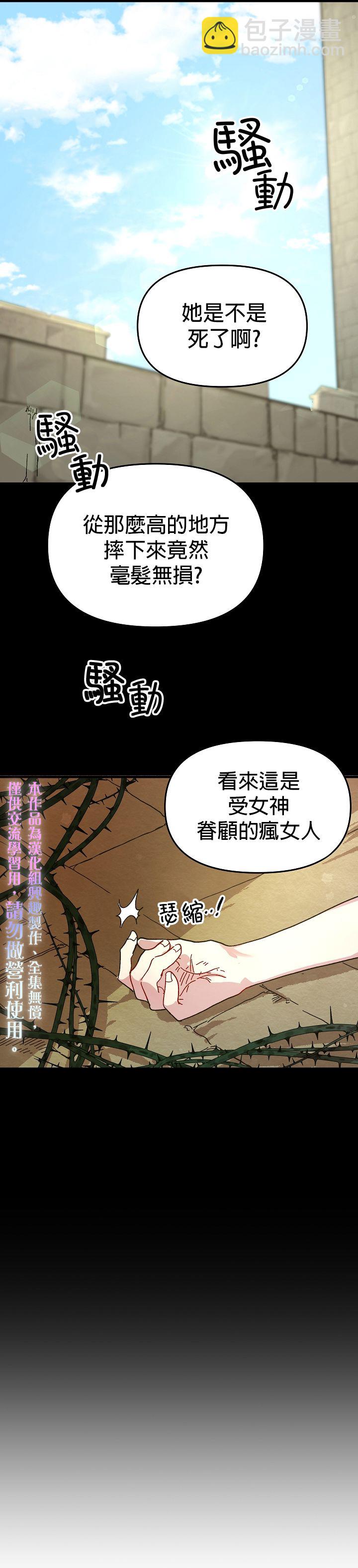 《皇女殿下装疯卖傻》第02话 第20页