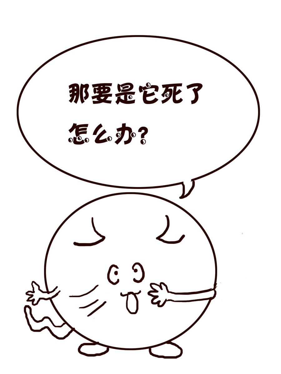 《小小笑话》小小笑话 第30集 第13页
