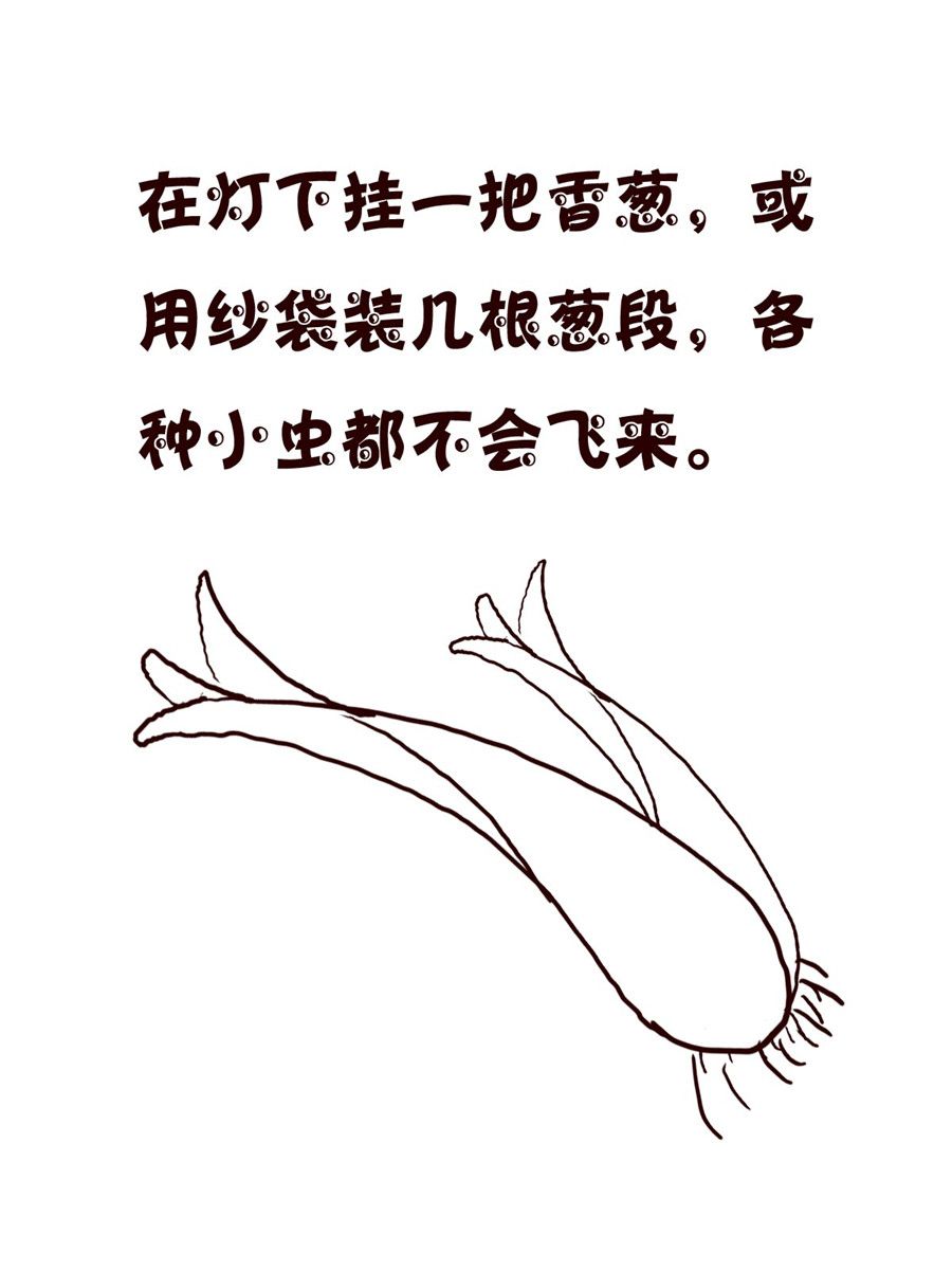 《小小笑话》小小笑话 第33集 第16页
