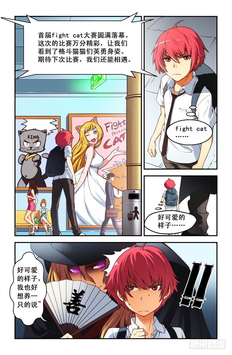 《侵略地球吧,喵》第一喵 格斗猫猫 第7页