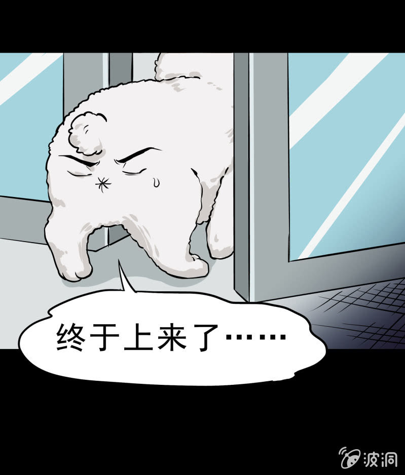 《见怪不怪》寄生兄弟2 第33页