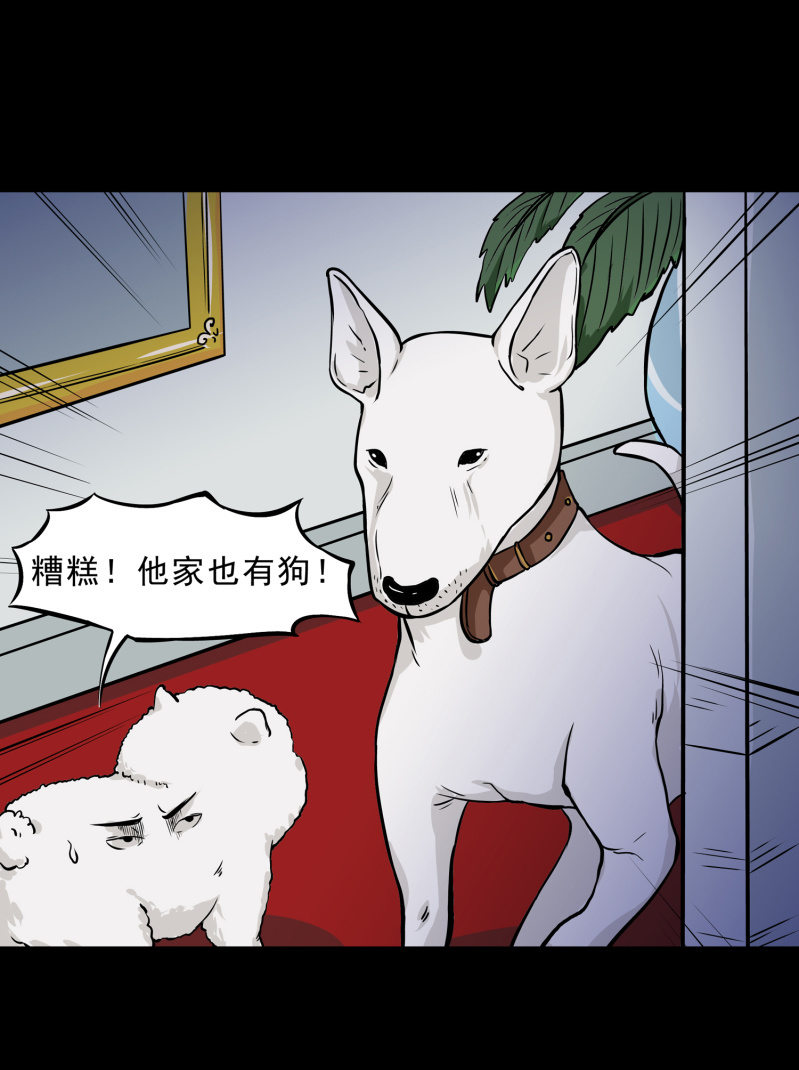 《见怪不怪》寄生兄弟2 第34页