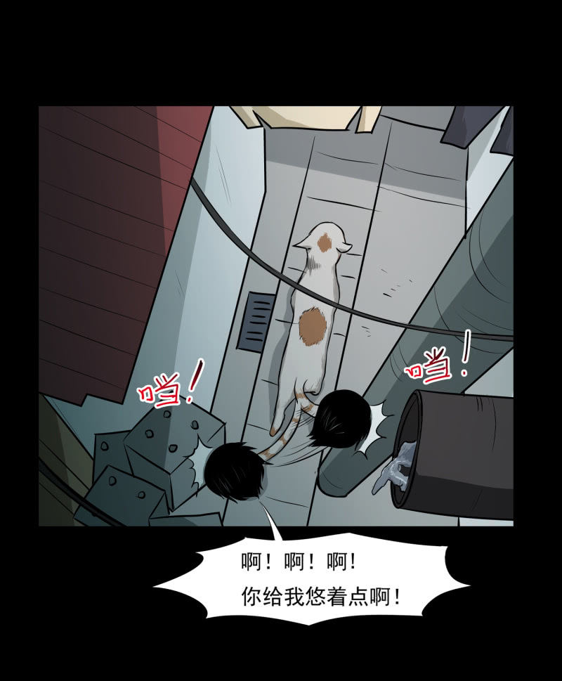 《见怪不怪》寄生兄弟3 第32页