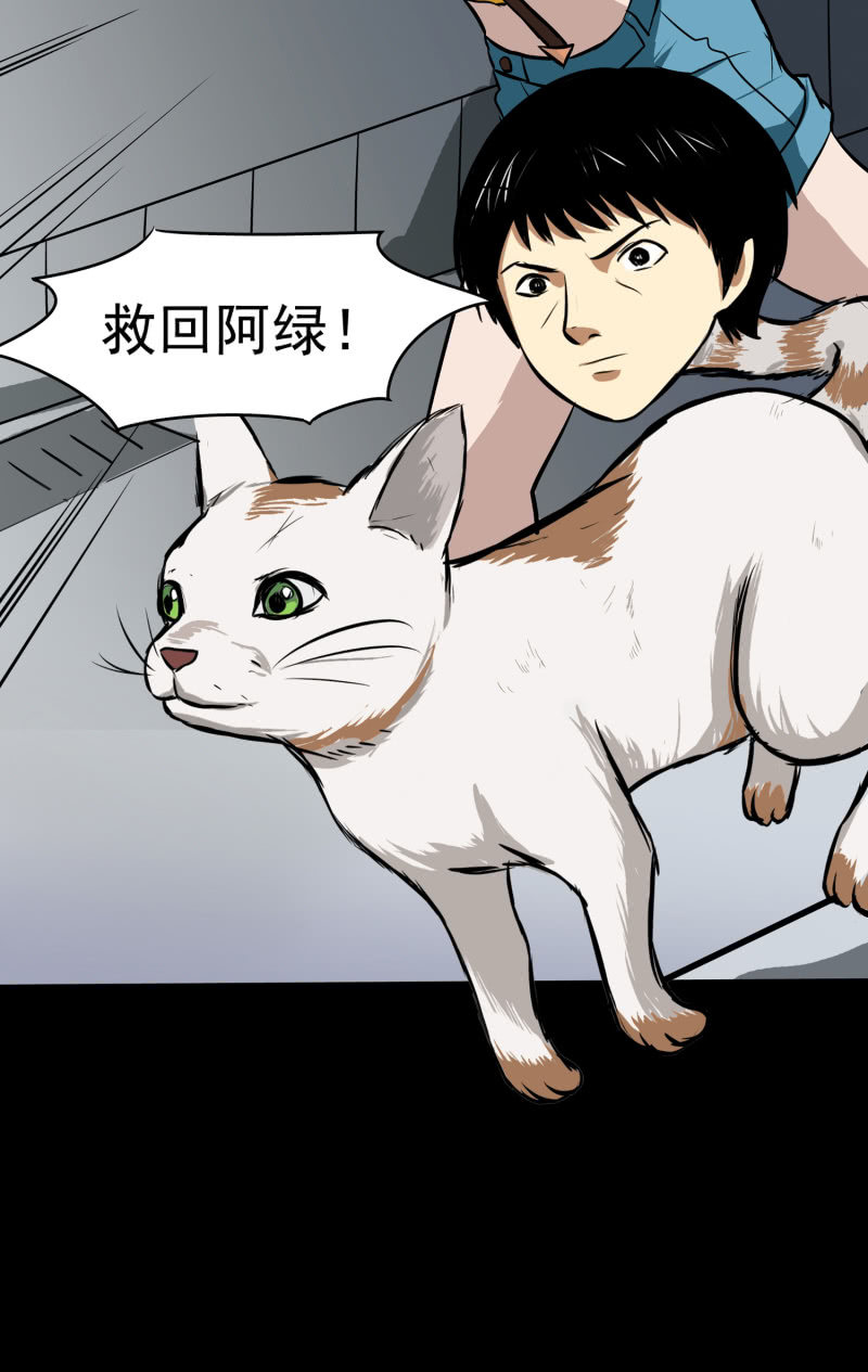 《见怪不怪》寄生兄弟3 第44页