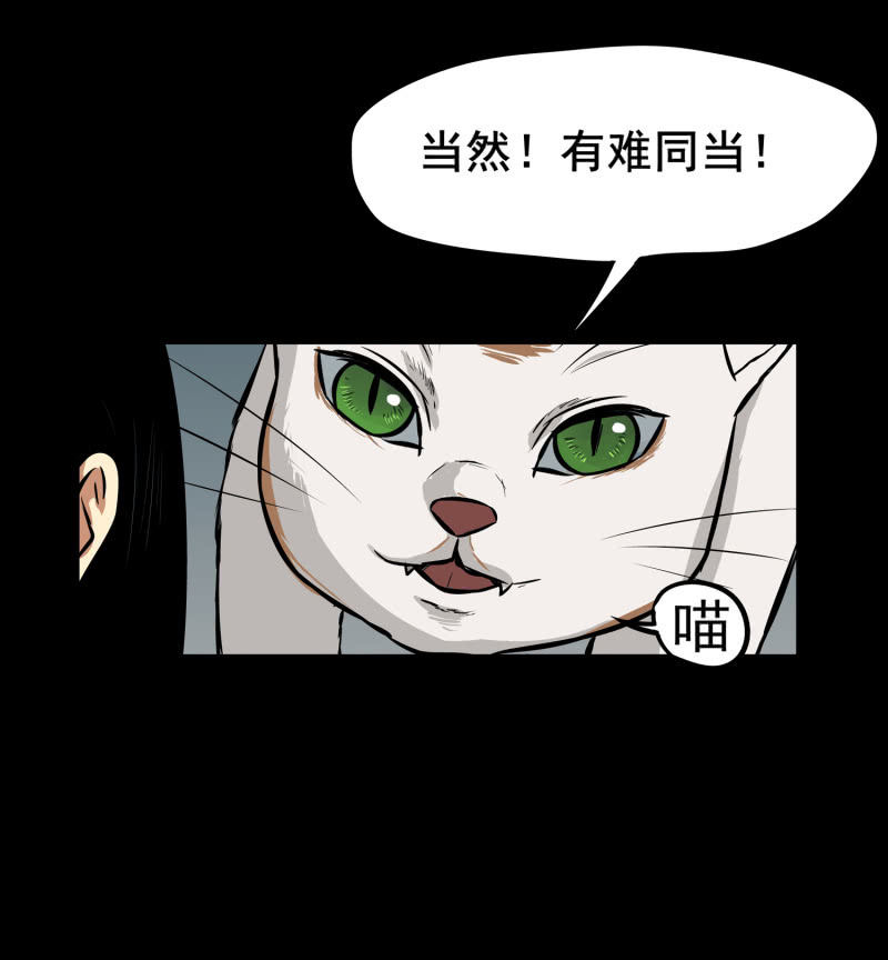 《见怪不怪》寄生兄弟4 第46页