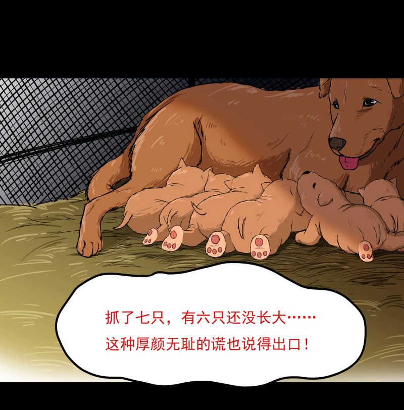 《见怪不怪》狗灵·异世界1 第20页