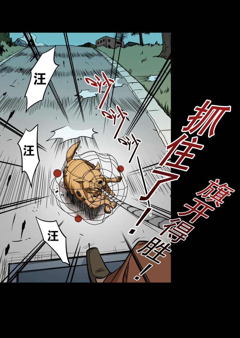 《见怪不怪》狗灵·异世界1 第34页