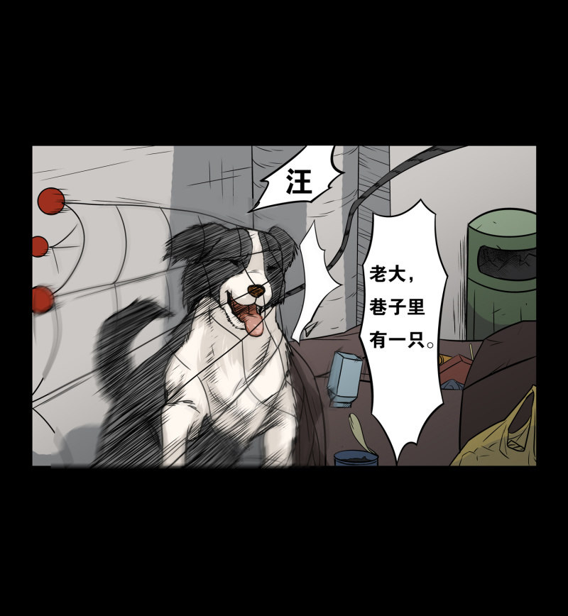 《见怪不怪》狗灵·异世界1 第35页