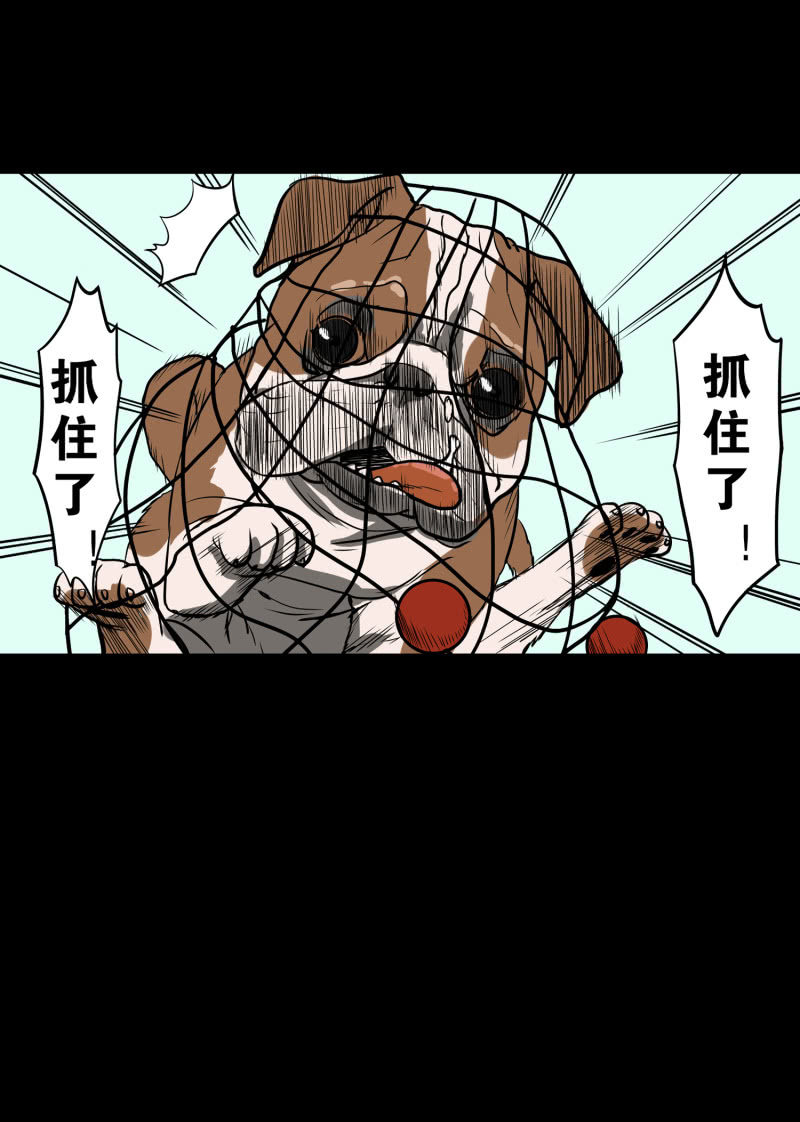 《见怪不怪》狗灵·异世界1 第39页