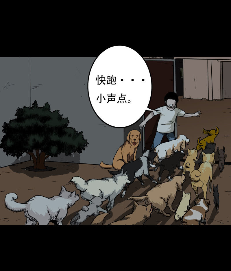 《见怪不怪》狗灵·异世界1 第46页
