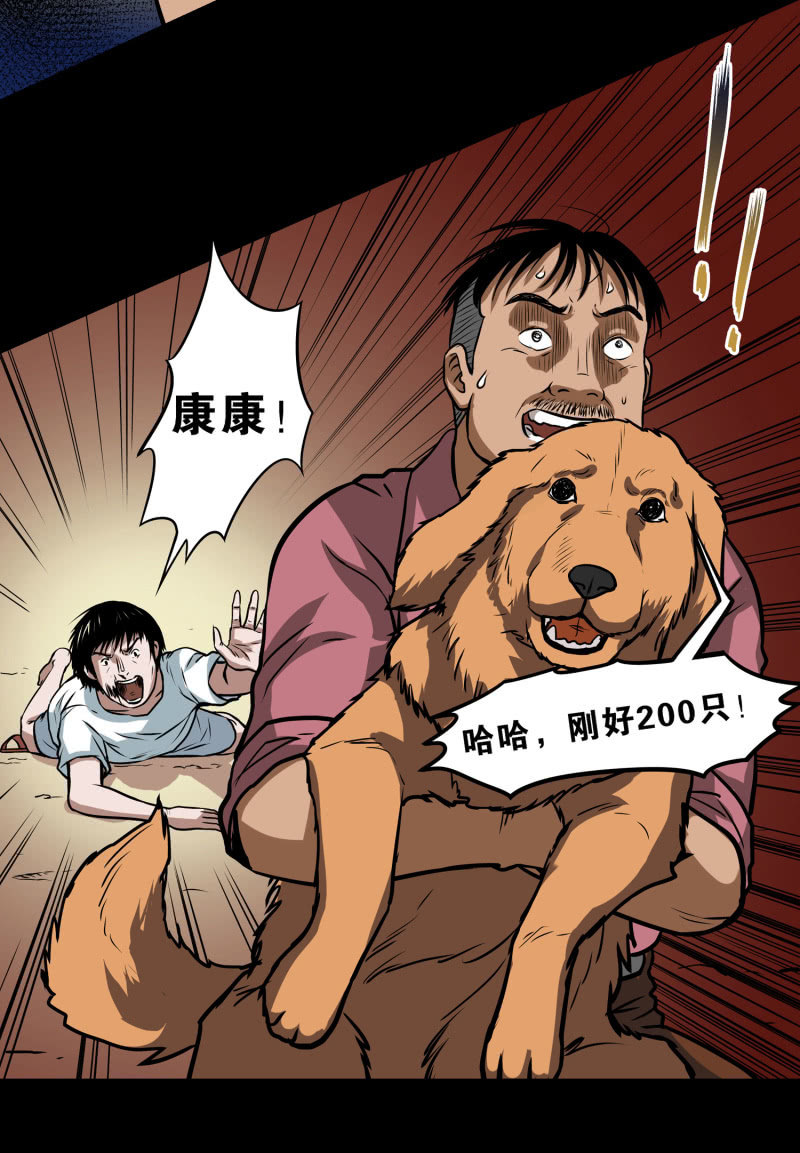 《见怪不怪》狗灵·异世界2 第38页