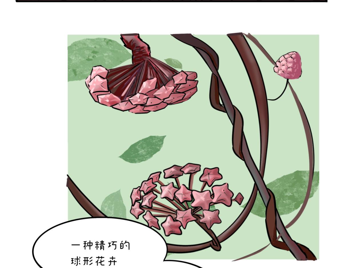 《废柴宝妈》开奶 第24页