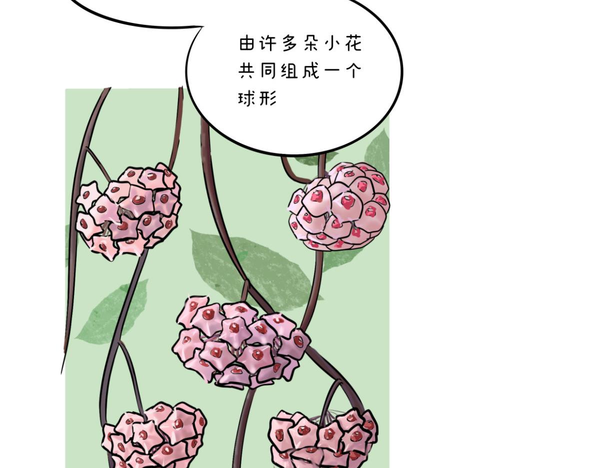 《废柴宝妈》开奶 第25页