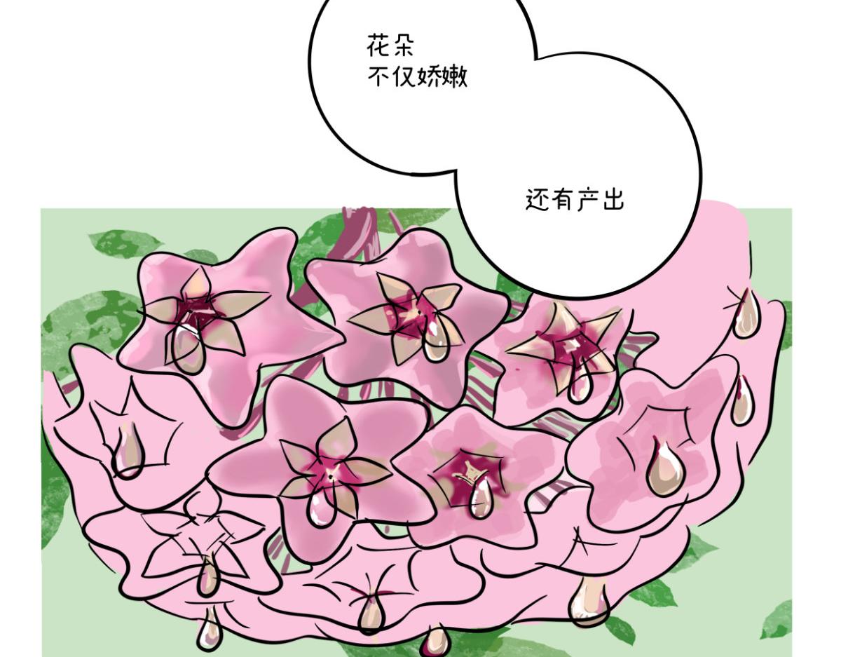 《废柴宝妈》开奶 第28页