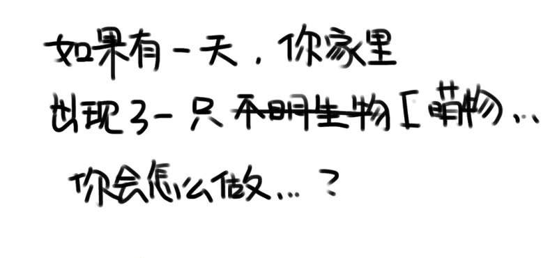 《家有煤球》这里是萌萌的预告 第1页