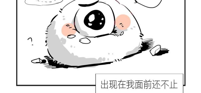 《家有煤球》第一话 第9页