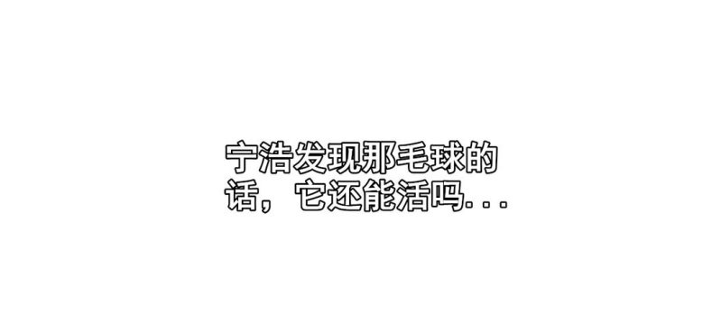 《家有煤球》第六话 第37页