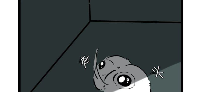 《家有煤球》第十一话 第9页
