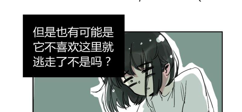 《家有煤球》第十四话 第11页