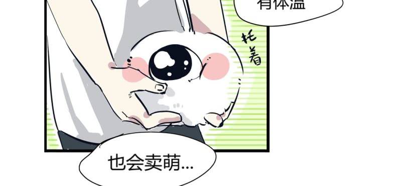 《家有煤球》第十六话 第12页