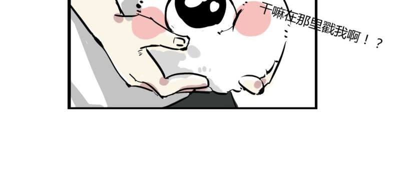 《家有煤球》第十六话 第20页