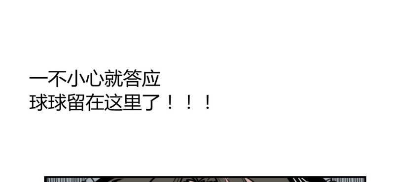 《家有煤球》第十九话【2】 第4页