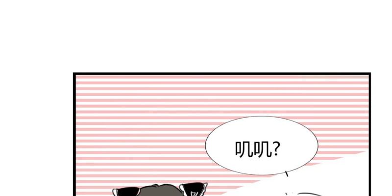 《家有煤球》第十九话【1】 第19页