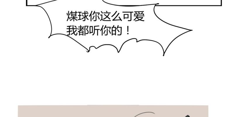 《家有煤球》第十九话【1】 第29页