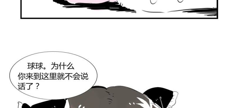 《家有煤球》二十二话 第22页