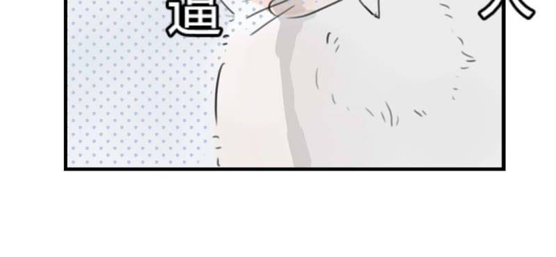 《家有煤球》二十五话【2】 第24页