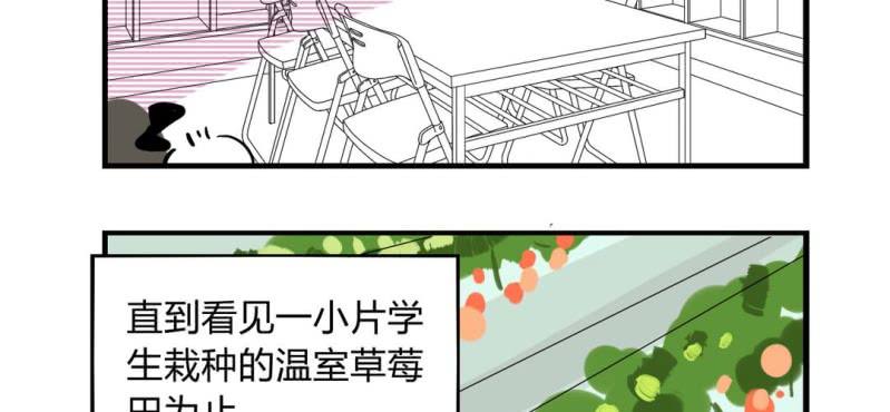 《家有煤球》二十五话【2】 第8页