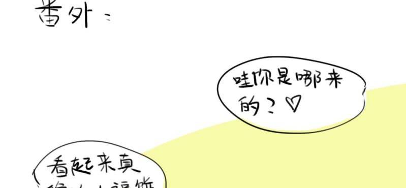 《家有煤球》第二十七话【2】+番外 第16页