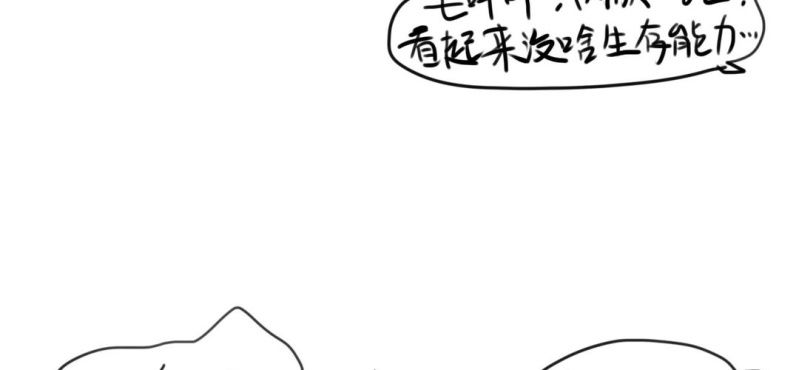 《家有煤球》第二十七话【2】+番外 第22页
