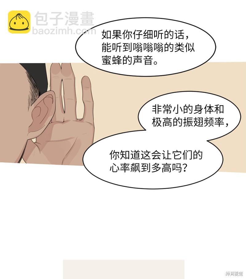 《蜂鸟效应》第11话 第24页