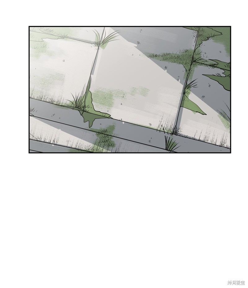 《蜂鸟效应》外传 第1页
